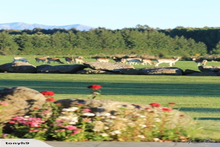 Photo of property in 4 Meadowlinks Lane, Pleasant Point, Timaru, 7974