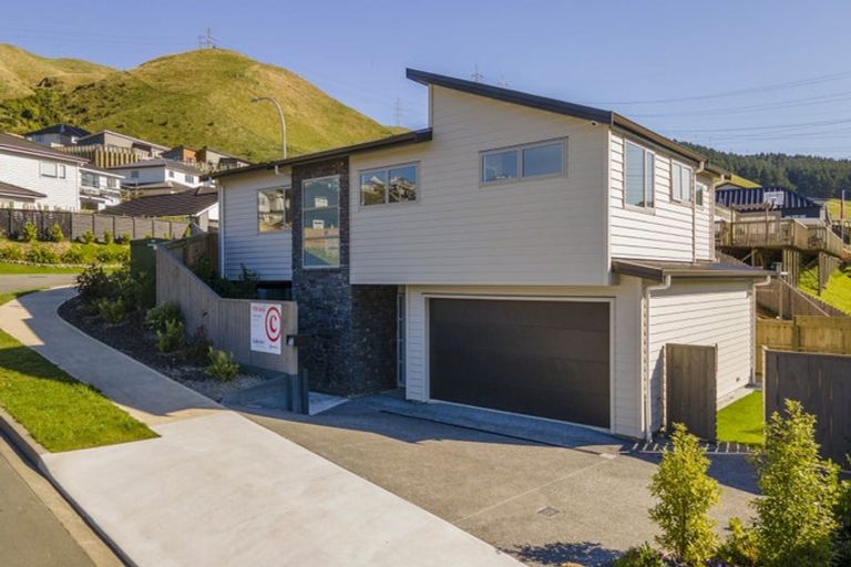 Photo of property in 165 Amesbury Drive, Churton Park, Wellington, 6037