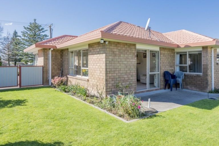 Photo of property in 176 Bath Street, Levin, 5510