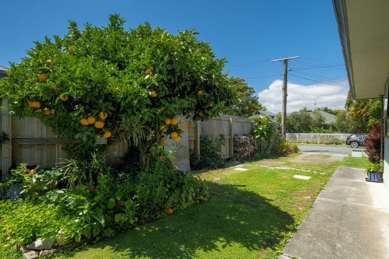 Photo of property in 20 Ward Street, Springlands, Blenheim, 7201