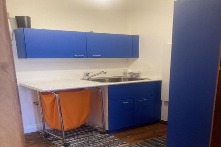 Photo of property in 105 Owen Street, Newtown, Wellington, 6021