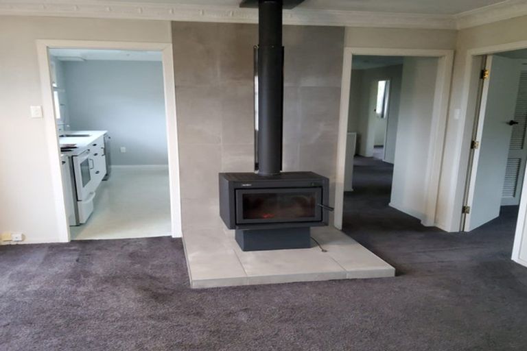 Photo of property in 17b Mcfadden Drive, Mosgiel, 9024