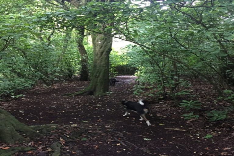 Photo of property in 119 Watt Street, Featherston, 5710