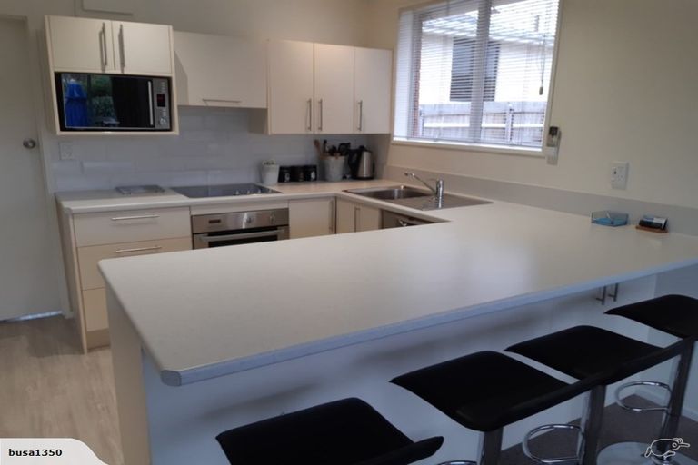 Photo of property in 6a Hereford Street, Roslyn, Dunedin, 9010