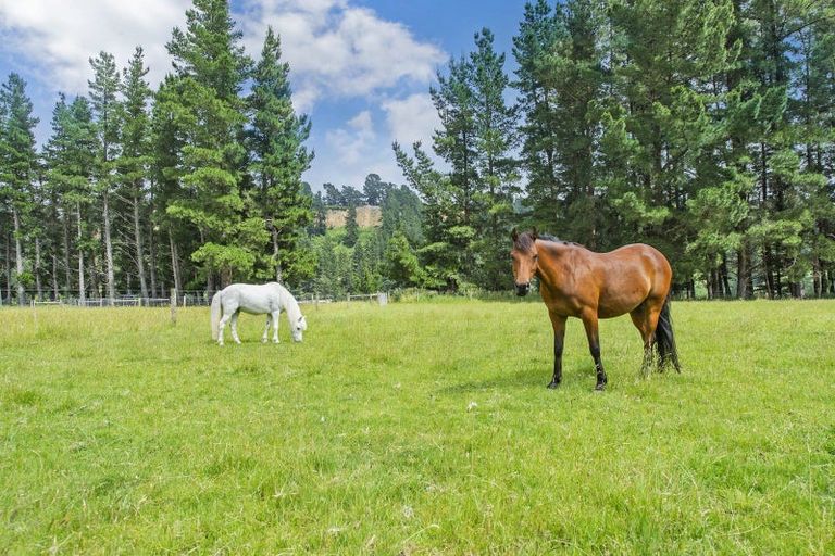 Photo of property in 301 Mount Grey Road, Loburn, Rangiora, 7472