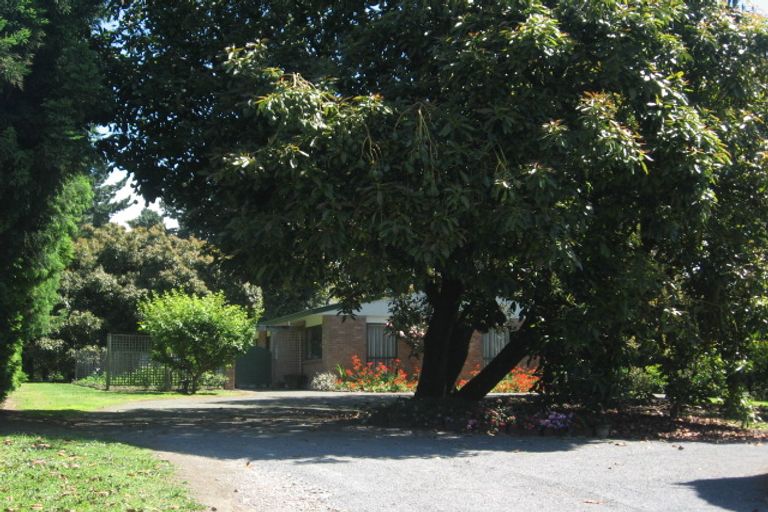 Photo of property in 41 I'anson Road, Minden, Tauranga, 3179