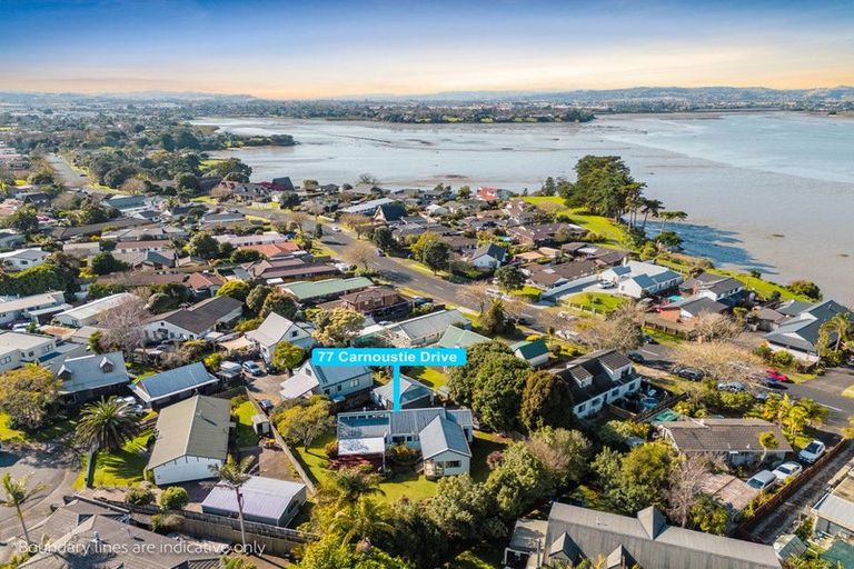 Photo of property in 77 Carnoustie Drive, Wattle Downs, Auckland, 2103