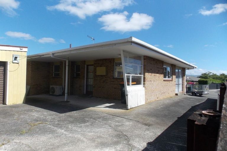 Photo of property in 411 Ruahine Street, Terrace End, Palmerston North, 4410