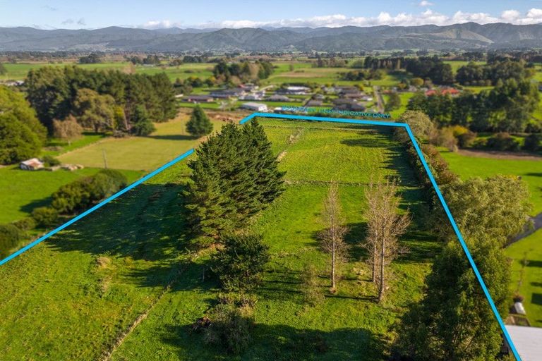 Photo of property in 38 Clifton Avenue, Carterton, 5713