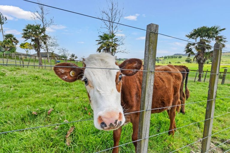 Photo of property in 345 Maungakaramea Road, Maungakaramea, Whangarei, 0178