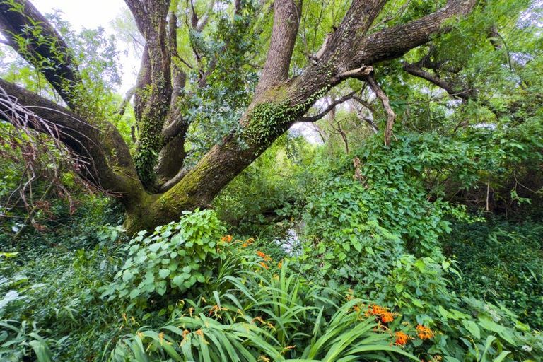 Photo of property in 14 Ataahua Place, Featherston, 5710