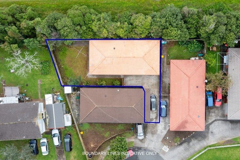 Photo of property in 100 Crawford Avenue, Mangere Bridge, Auckland, 2022