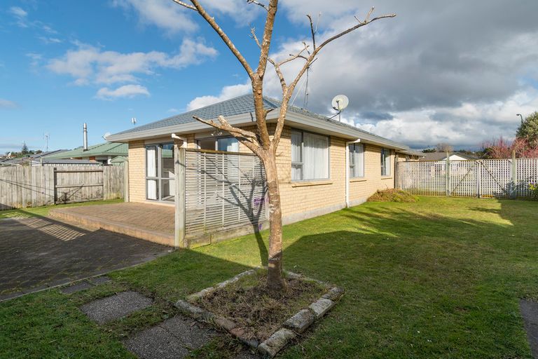 Photo of property in 50 Solomon Street, Brookfield, Tauranga, 3110