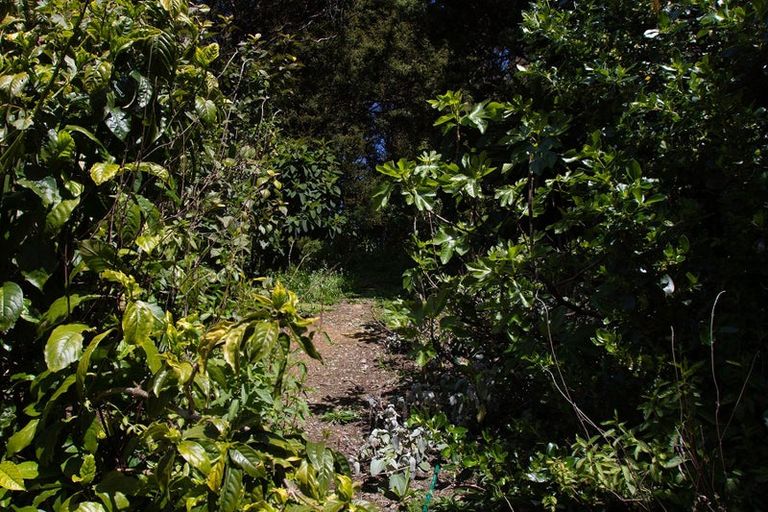 Photo of property in 100 Ormiston Road, Springfield, Whangarei, 0178