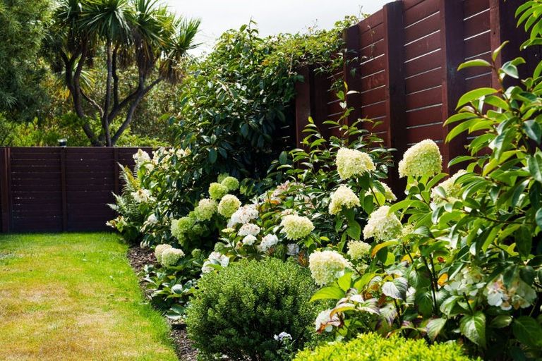 Photo of property in 38 Islington Street, North East Valley, Dunedin, 9010