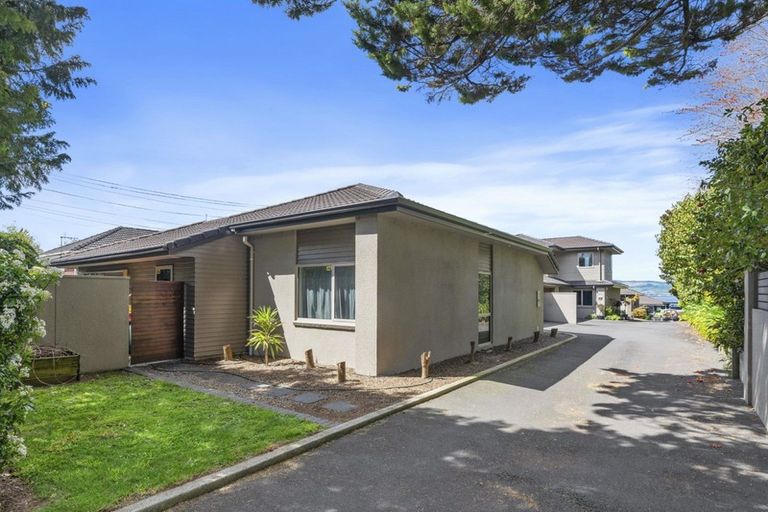 Photo of property in 117a Kawaha Point Road, Kawaha Point, Rotorua, 3010