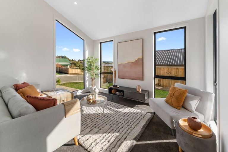 Photo of property in 43 Hart Road, Richmond, 7020