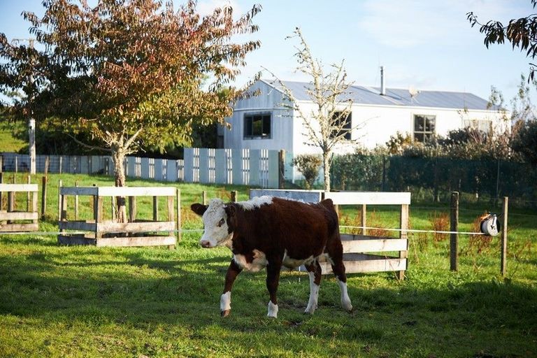 Photo of property in 1528a Pyes Pa Road, Oropi, Tauranga, 3173