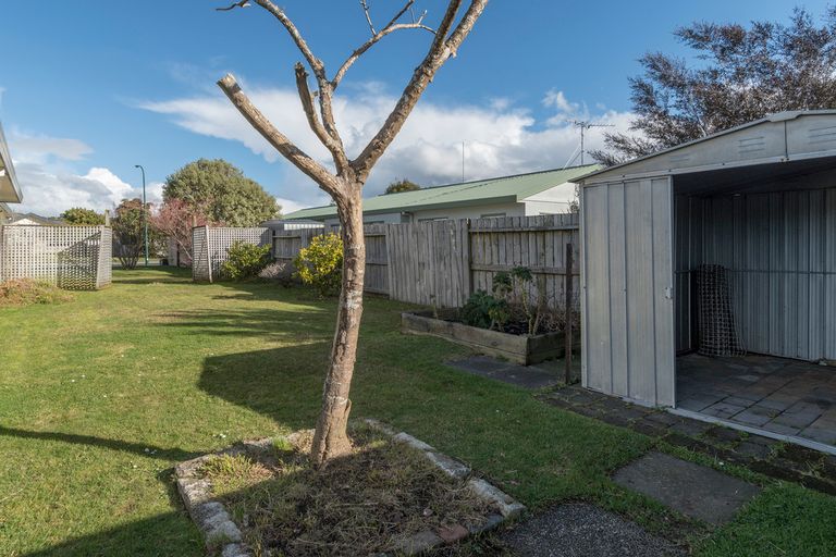Photo of property in 50 Solomon Street, Brookfield, Tauranga, 3110