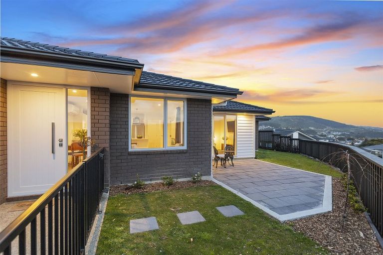 Photo of property in 113 John Burke Drive, Aotea, Porirua, 5024