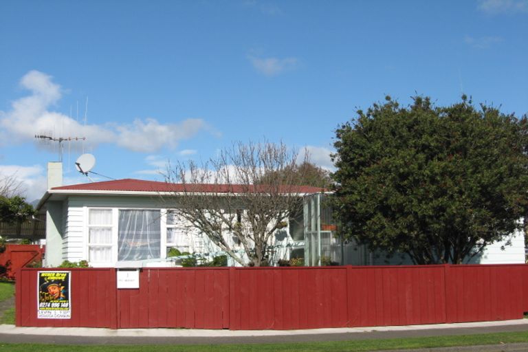 Photo of property in 1 Balmoral Street, Levin, 5510