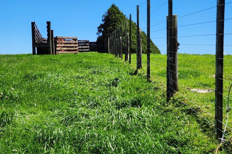 Photo of property in 125 Davis Road, Waiongana, Inglewood, 4389