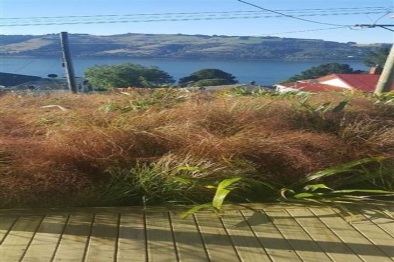 Photo of property in 41 Manapouri Street, Ravensbourne, Dunedin, 9022