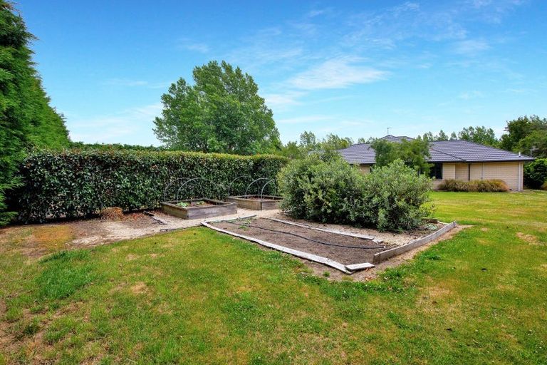 Photo of property in 21 Bridge Road, Greendale, Christchurch, 7671