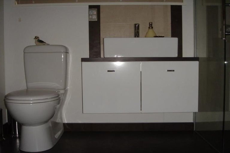 Photo of property in 7 College Place, Poike, Tauranga, 3112