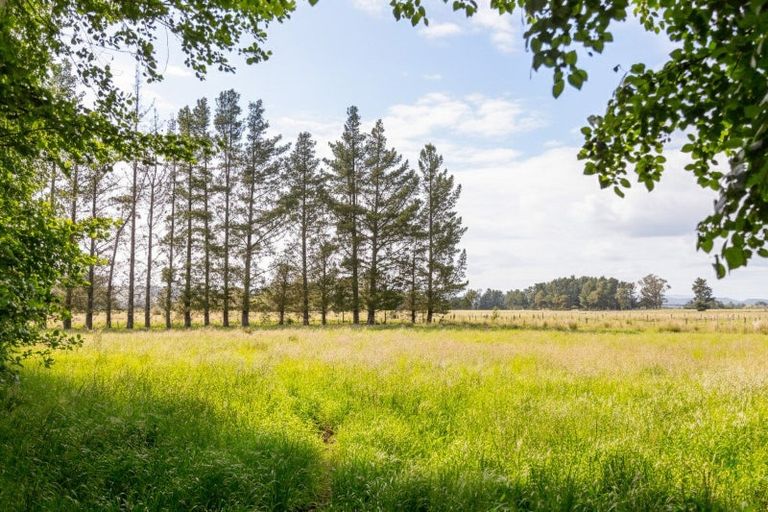 Photo of property in 179 Bidwills Cutting Road, Morison Bush, Greytown, 5794