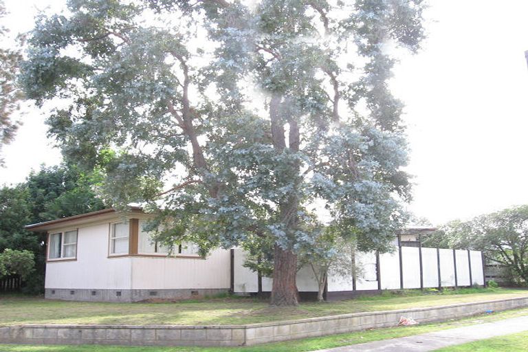 Photo of property in 44 Skerrett Crescent, Tamatea, Napier, 4112