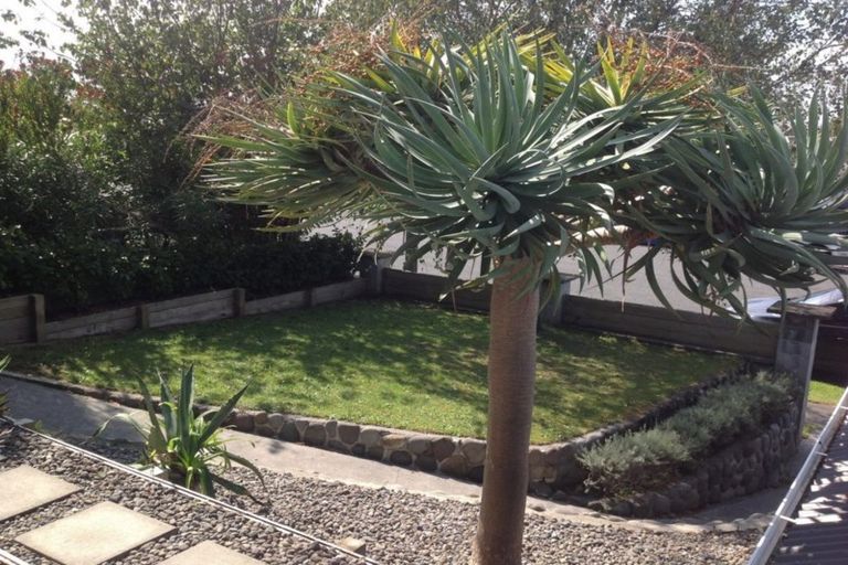 Photo of property in 10 Kitchener Terrace, Moturoa, New Plymouth, 4310