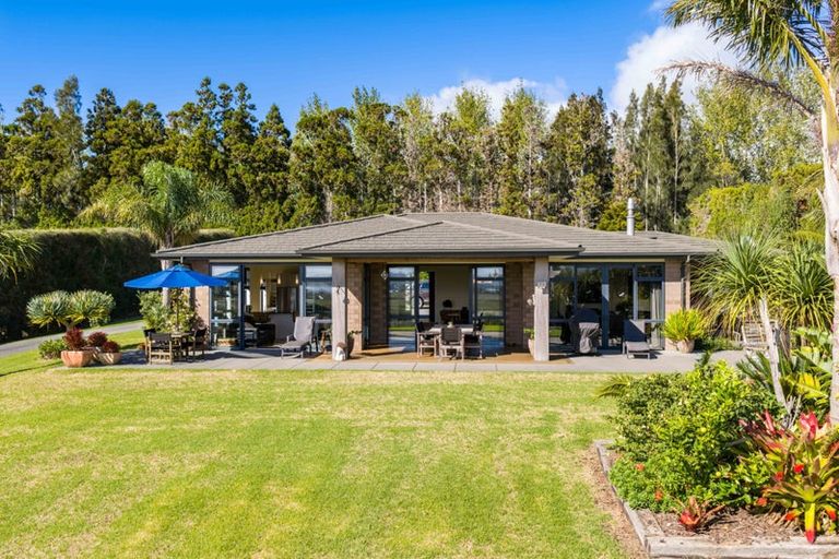 Photo of property in 81 Avocado Lane, Mangawhai, Wellsford, 0975