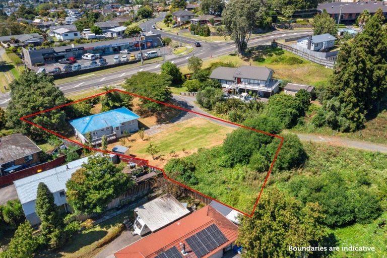 Photo of property in 155 Cambridge Road, Bethlehem, Tauranga, 3110