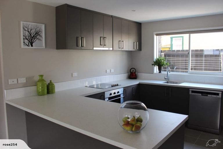 Photo of property in 21a Dickens Street, Addington, Christchurch, 8024