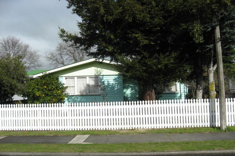 Photo of property in 21 Daniell Street, Solway, Masterton, 5810