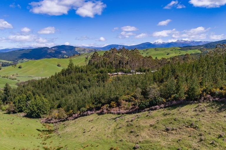 Photo of property in 815 Thorpe-orinoco Road, Thorpe, Wakefield, 7096