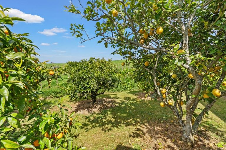 Photo of property in 345 Maungakaramea Road, Maungakaramea, Whangarei, 0178