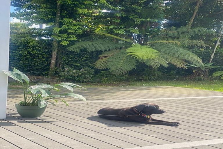 Photo of property in 1078 Scenic Drive North, Swanson, Auckland, 0816