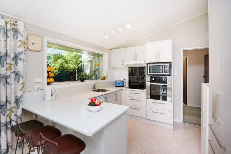 Photo of property in 93 Manawatu Street, Hokowhitu, Palmerston North, 4410