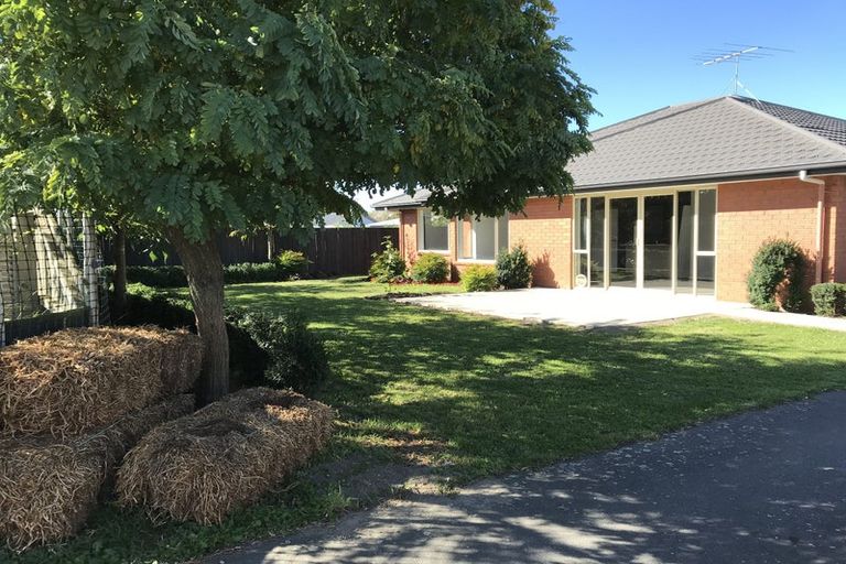 Photo of property in 131 Mcmurdo Street, Tinwald, Ashburton, 7700