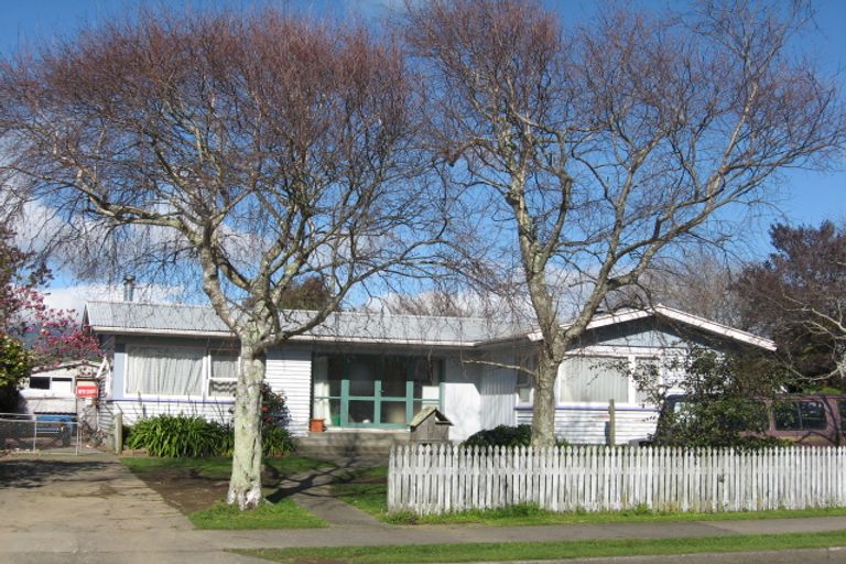 Photo of property in 3 Balmoral Street, Levin, 5510