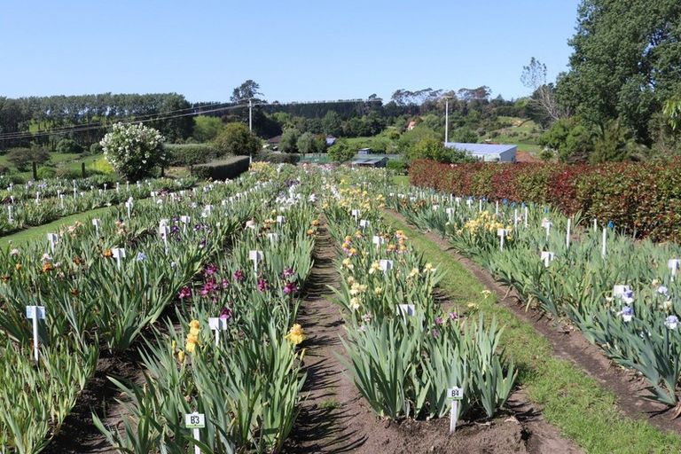 Photo of property in 138 Walford Road, Aongatete, Katikati, 3181