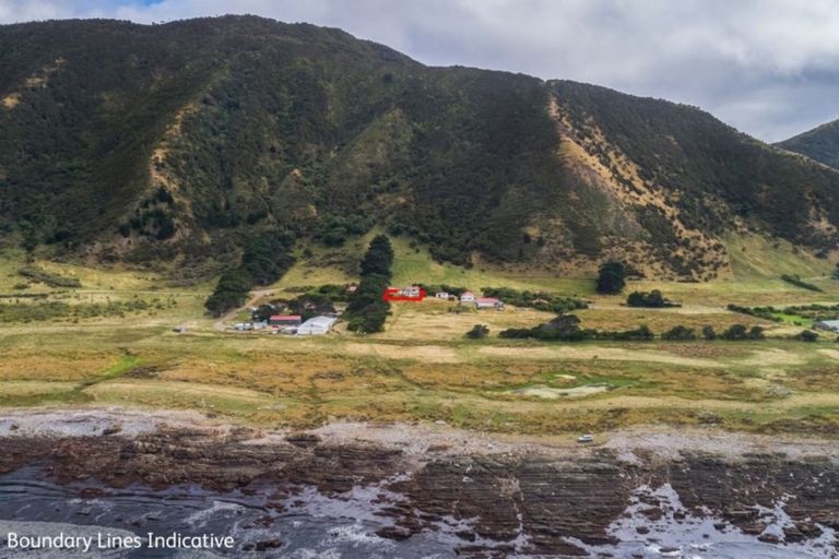 Photo of property in 451 Tora Farm Settlement Road, Tora, Martinborough, 5782