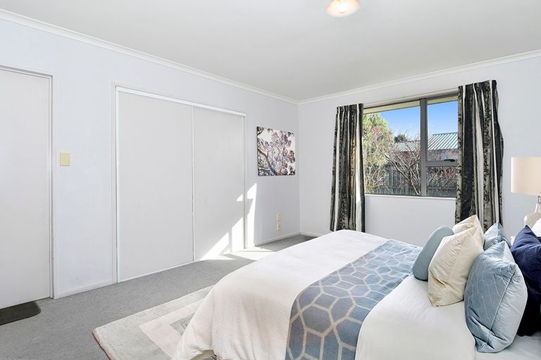 Photo of property in 50 Solomon Street, Brookfield, Tauranga, 3110