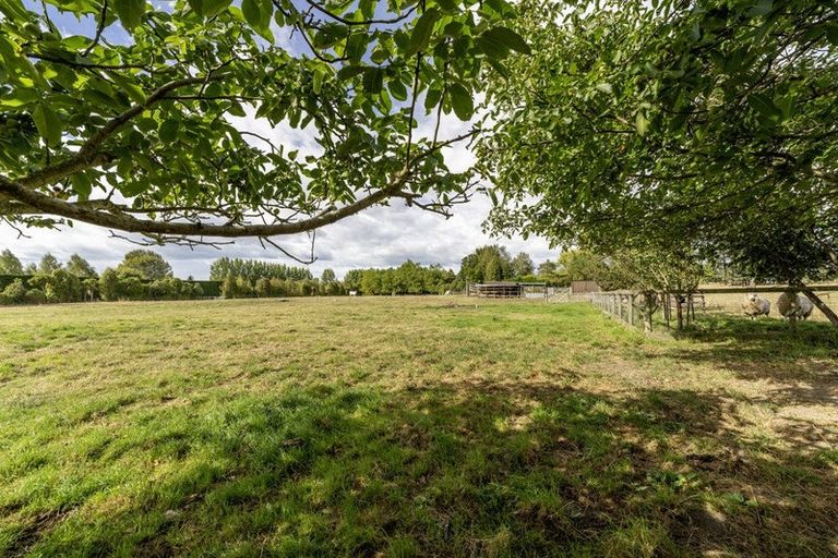 Photo of property in 120 Cox Street, Geraldine, 7930