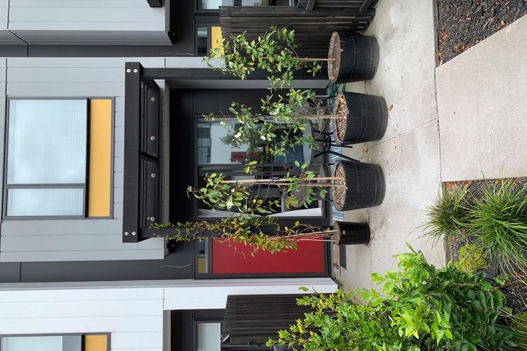 Photo of property in 11 Piko Lane, Hobsonville, Auckland, 0616