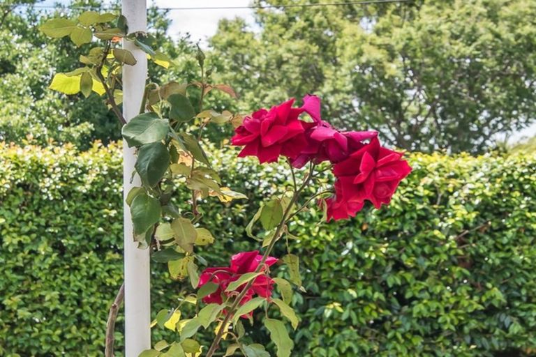 Photo of property in 45 Alexander Road, Raumati Beach, Paraparaumu, 5032