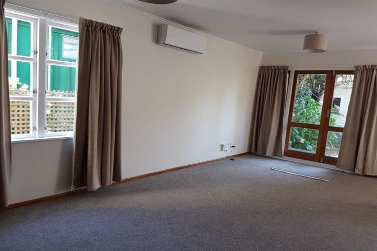 Photo of property in 117 Aro Street, Aro Valley, Wellington, 6021