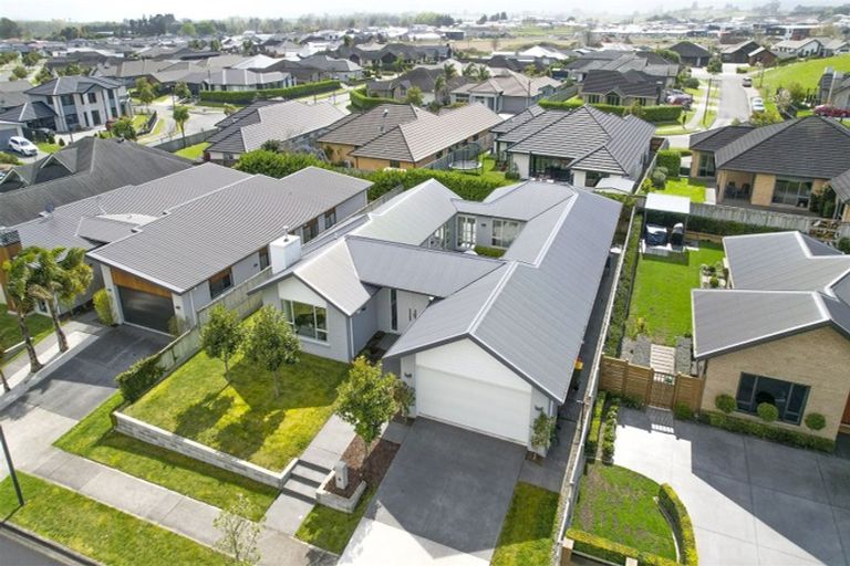 Photo of property in 5 Audrey Place, Flagstaff, Hamilton, 3210